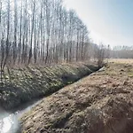 Przystanek * Drzewina