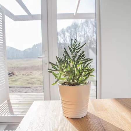 Przystanek Lodge Drzewina