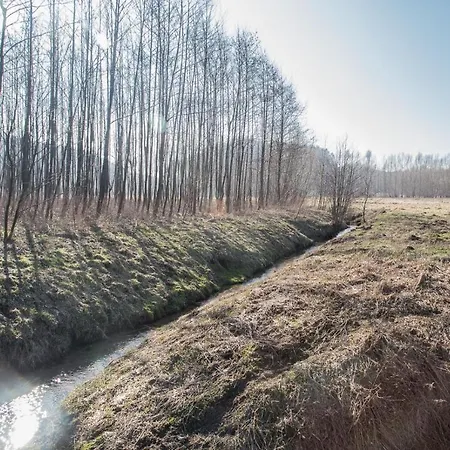 Przystanek * Drzewina