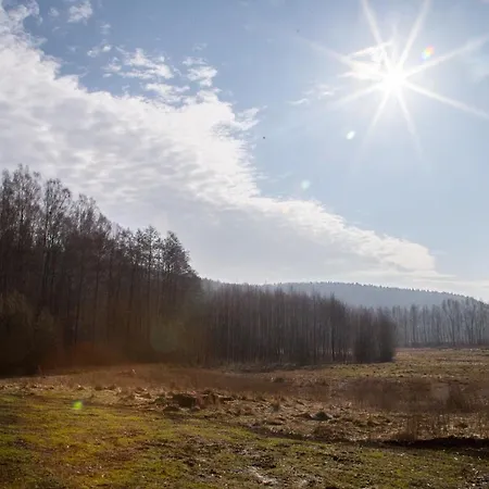 Przystanek * Drzewina