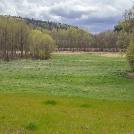 Orman Evi Przystanek *