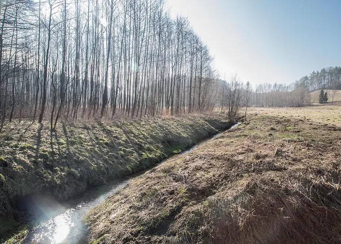 Przystanek * Drzewina