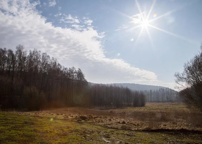 Przystanek * Drzewina