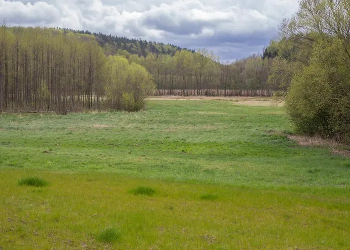 Orman Evi Przystanek *